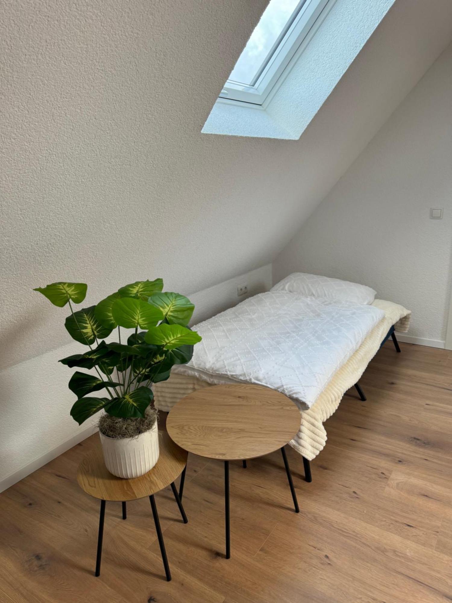 Apartment Dachgeschosstraum *